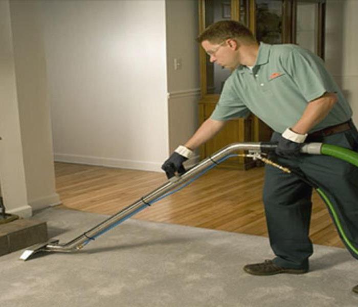 Don't Let your Berkley Home Suffer with Dirty Carpets
